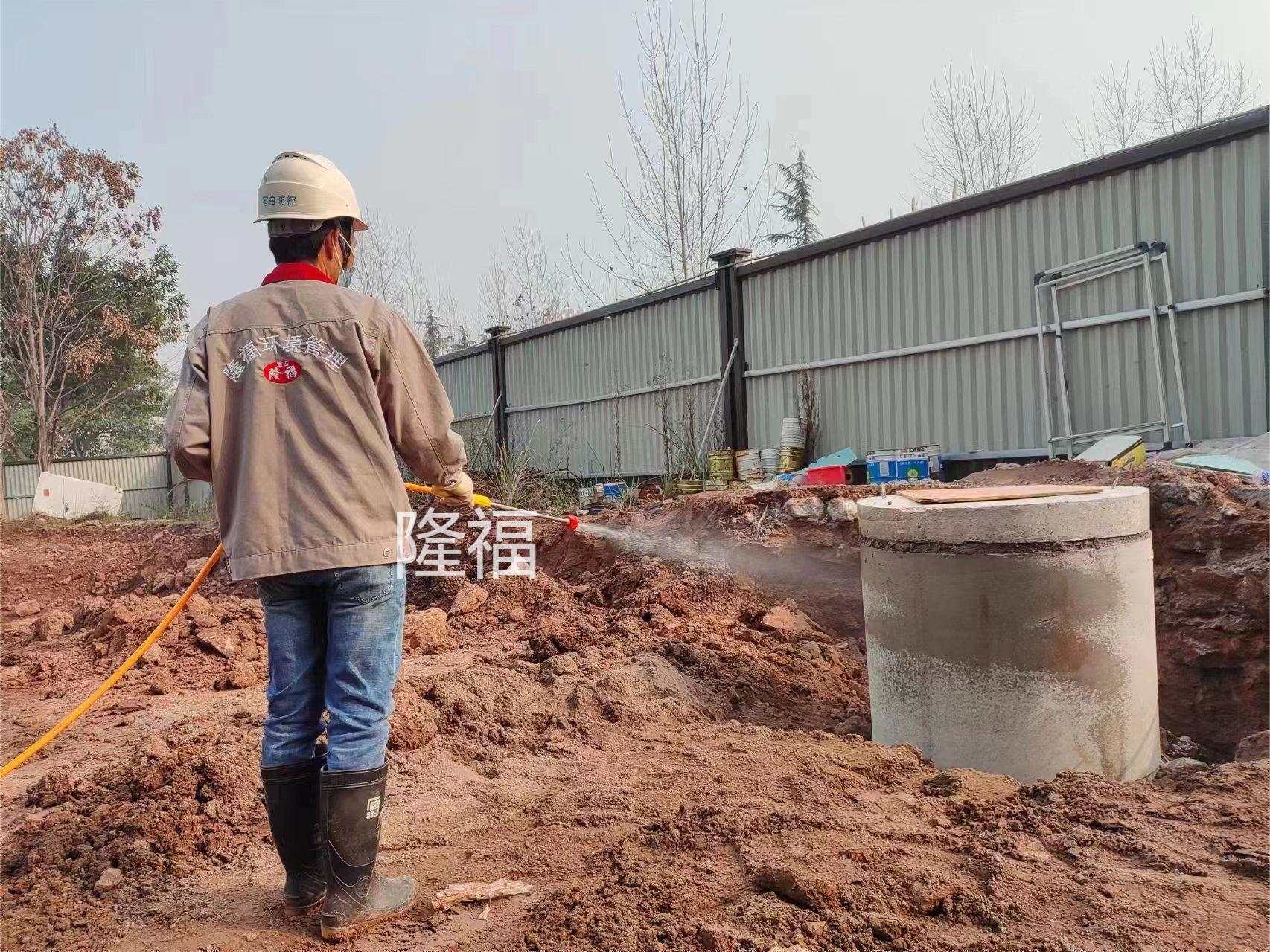 江津珞璜農(nóng)民工返鄉(xiāng) (1).jpg