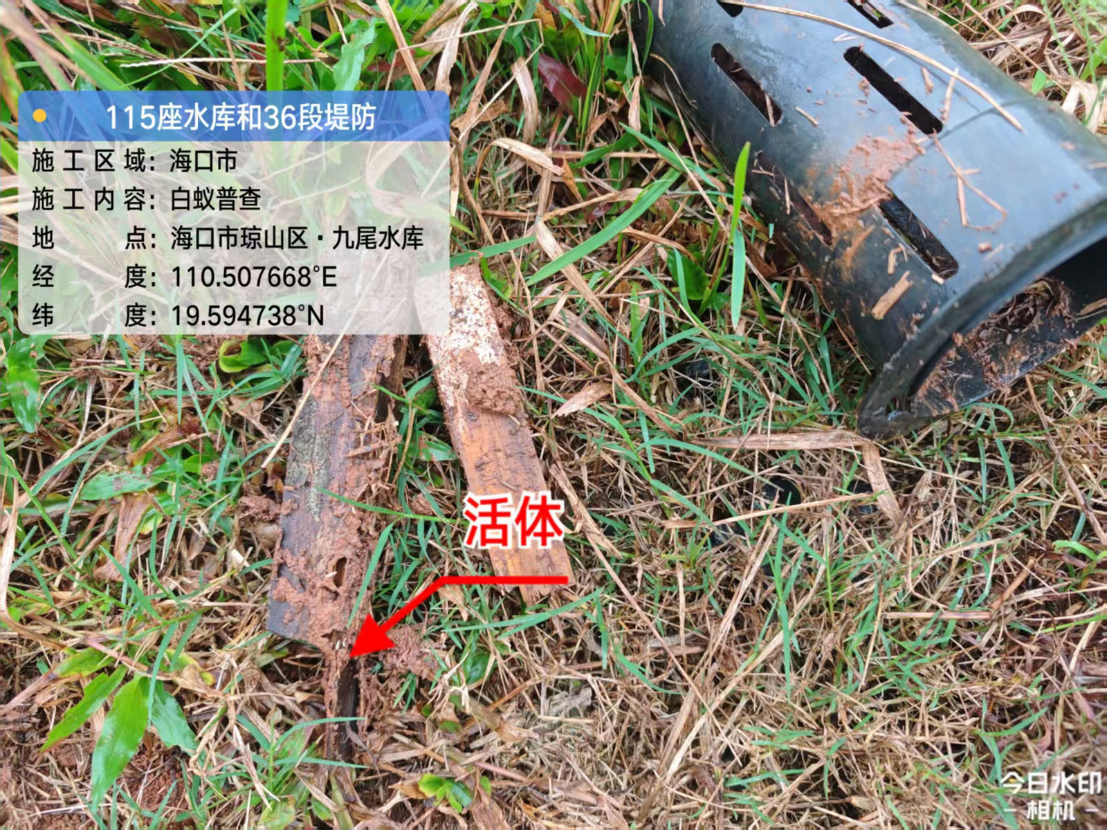 1765874743484821.jpg fl2.jpg