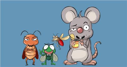 白蟻防治管理 白蟻危害有哪些幾方面？