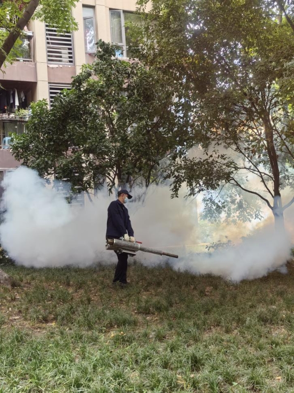 蚊媒防控工作-“隆福”在進行！